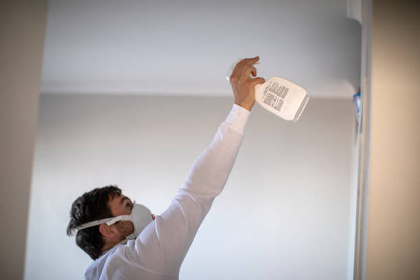 Best Residential Mold Remediation in St Michael, MN