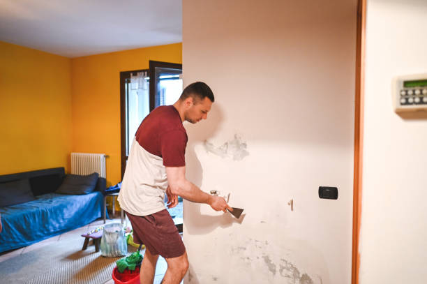 Best Insurance-Related Mold Remediation in St Michael, MN